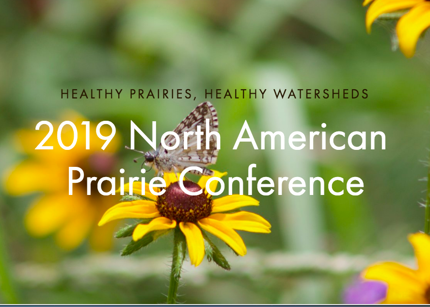 Houston Sierra Club Invites You to the North American Prairie