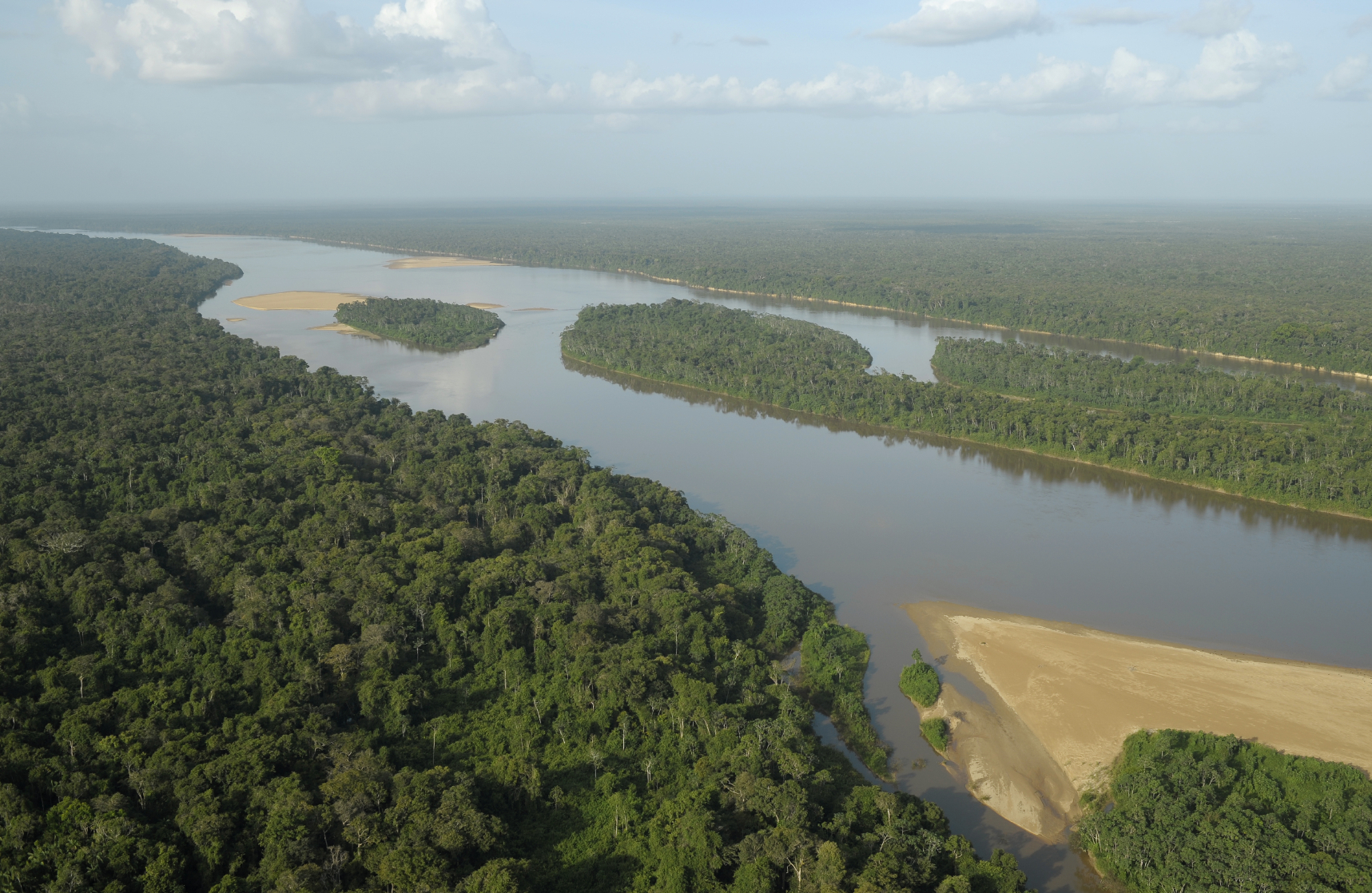 Amazon rainforest scrubbing half as much carbon as it used to, new ...