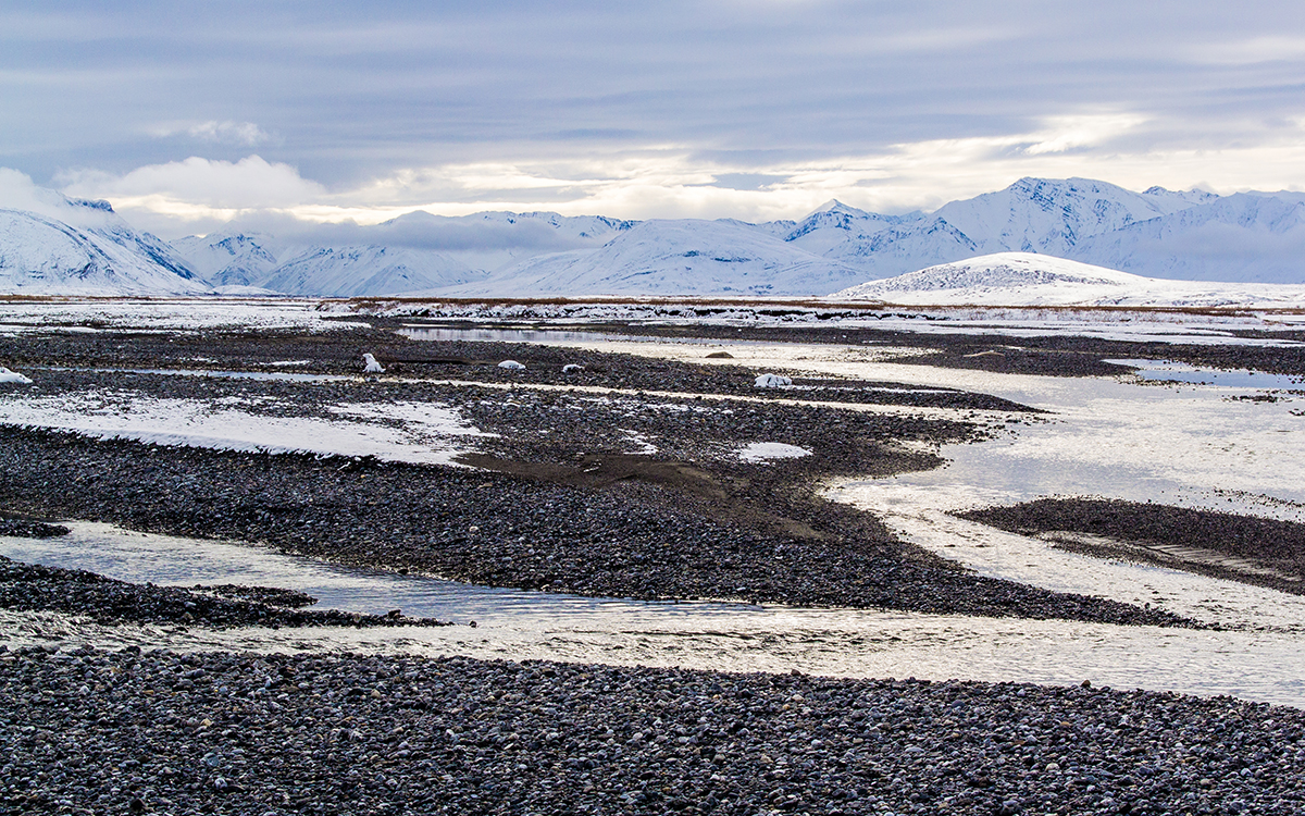 Inupiaq Activist Siqiniq Maupin On Survival And The Arctic Refuge Sierra Club