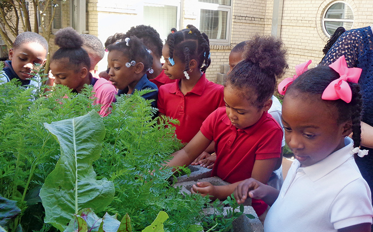 The Greening of K–12 Cafeterias Across the U.S. | Sierra Club