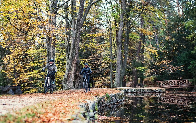 sierra e bike