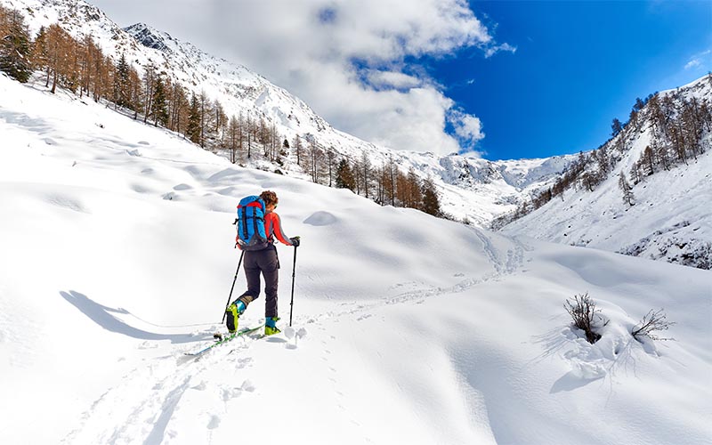 Feds And Backcountry Skiers Join Forces To Manage Forests Sierra Club