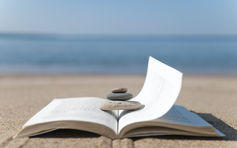 4 Should-Learn Books for the Summer season Season