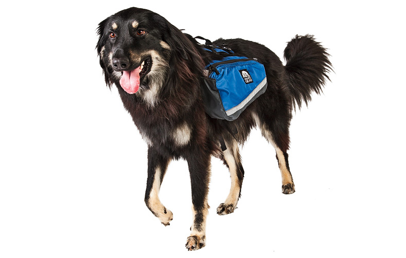 sierra dog backpack