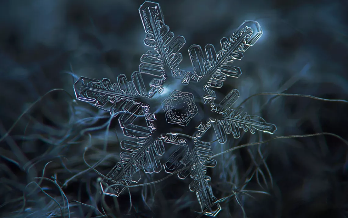Snow Show: Snowflakes Like You've Never Seen Them Before | Sierra Club