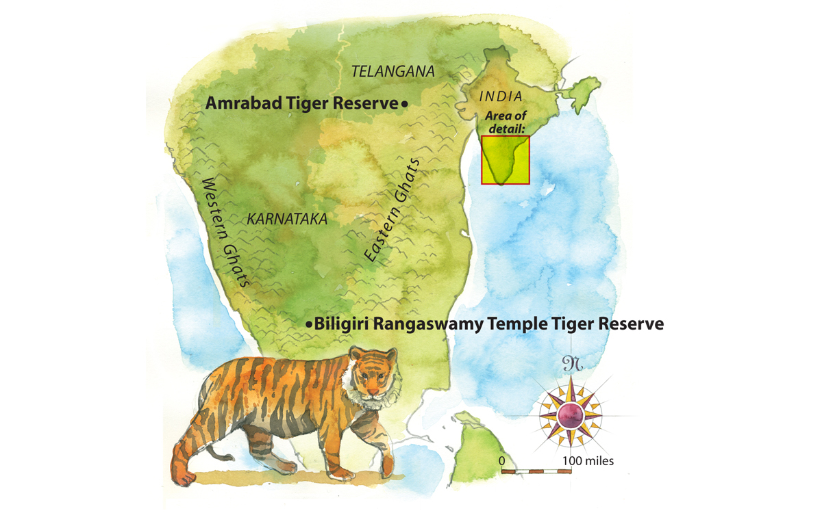 Tigers In India Map