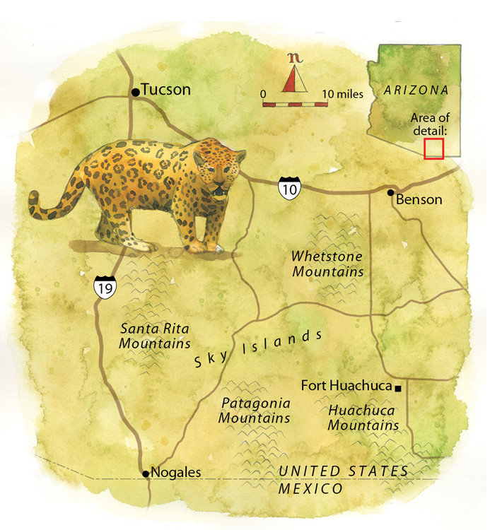 2017 9 Jaguars Map WB 