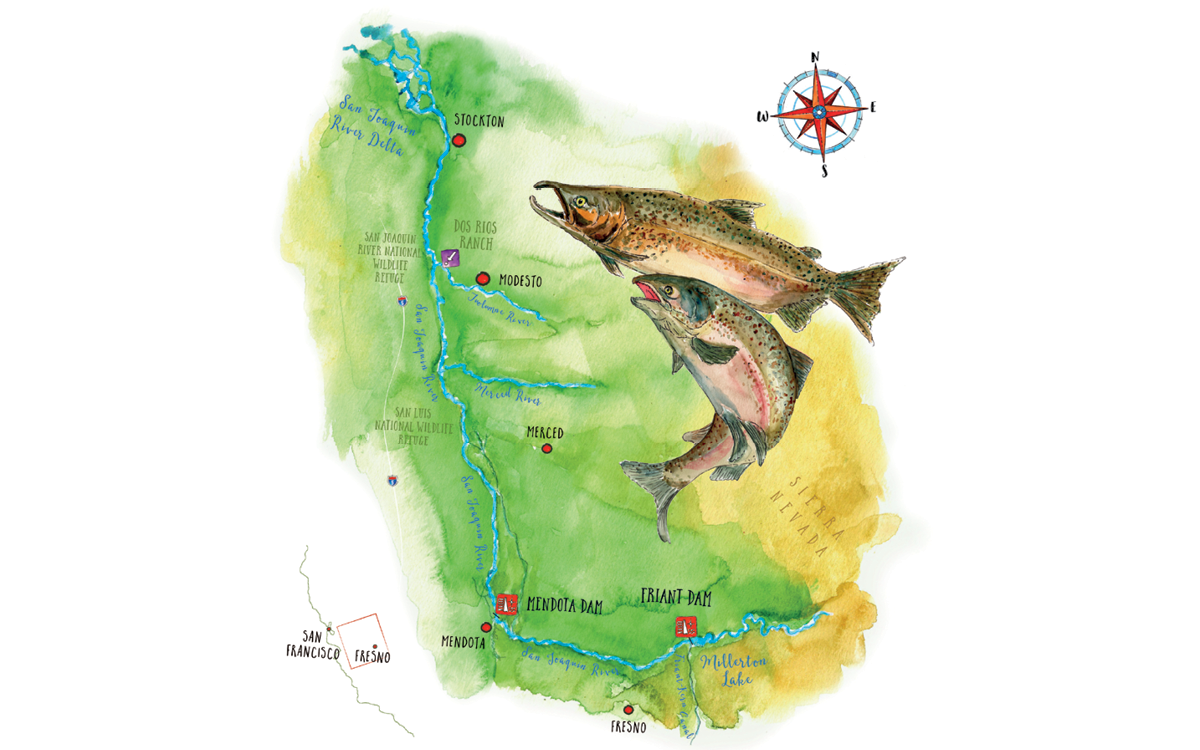 Illustrated map shows two salmon and the area around Friant Dam in the Central Valley.