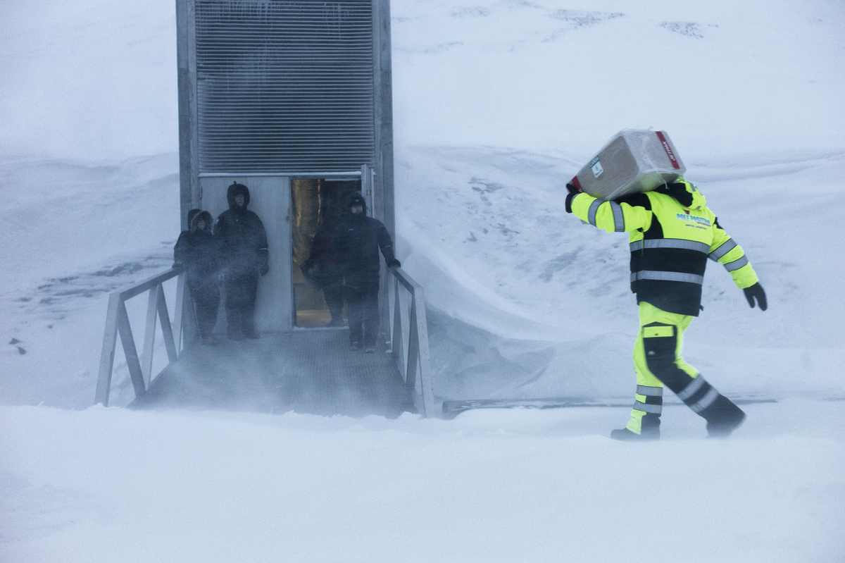 Is the Svalbard Global Seed Vault Truly Impregnable?  Sierra Club