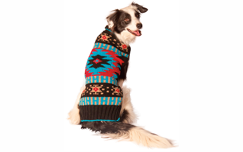 Ecofriendly Dog Gear For Winter Sierra Club